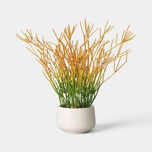 16" Artificial Pencil Cactus Dish Garden - Threshold